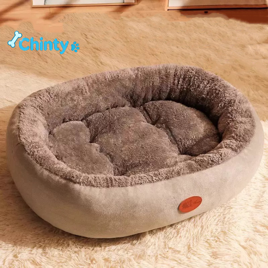 pet bed